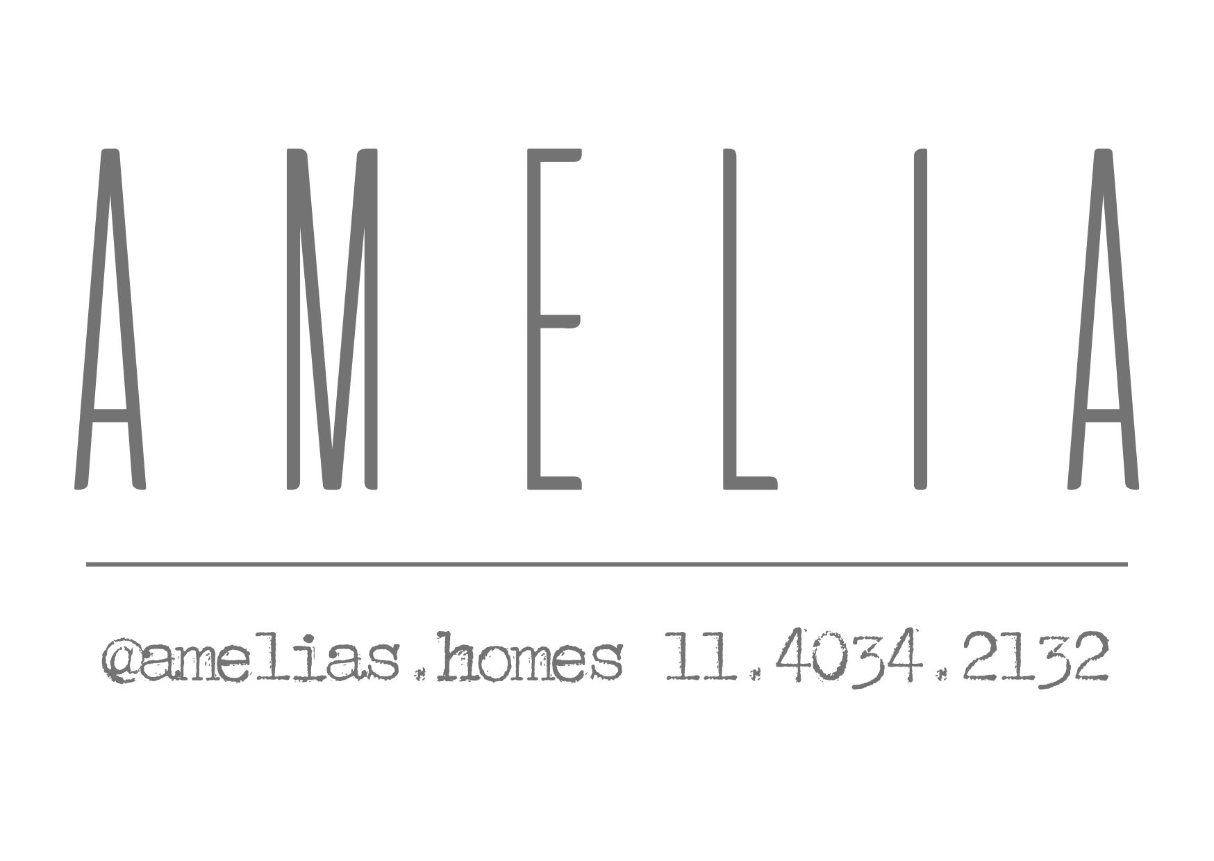 Logo de Amelia Homes